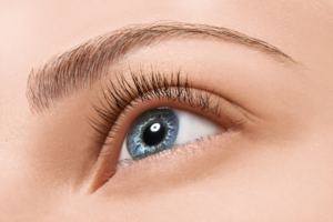 blepharoplasty tampa