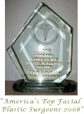 Americas top facial plastic surgery 2008